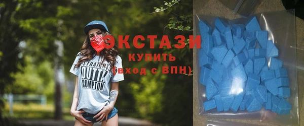 стаф Алзамай