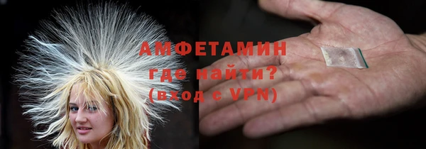 стаф Алзамай