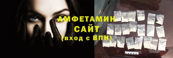 стаф Алзамай