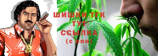 ПСИЛОЦИБИНОВЫЕ ГРИБЫ Алексин