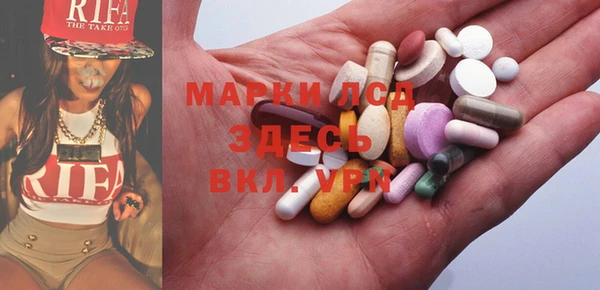 ПСИЛОЦИБИНОВЫЕ ГРИБЫ Алексин