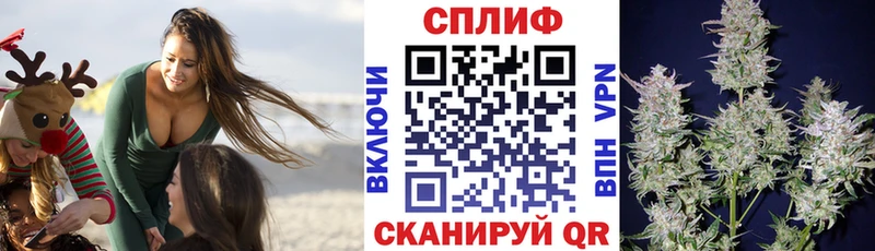 Конопля гибрид  Крым 
